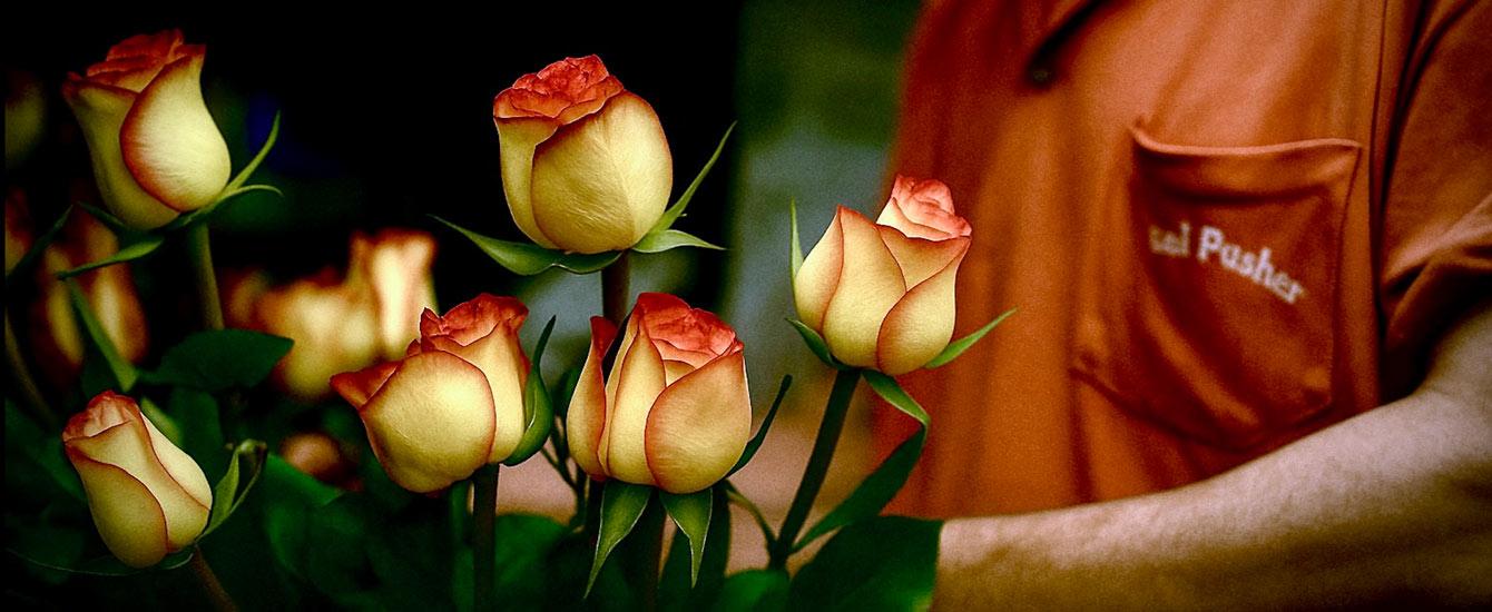 The Petal Pusher
